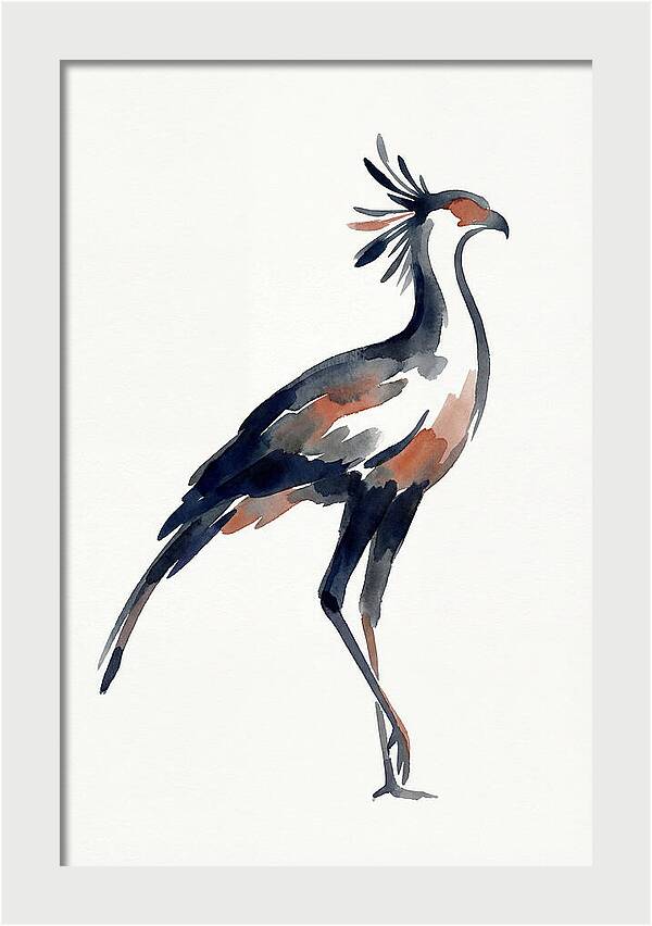 Secretary Bird Silhouette