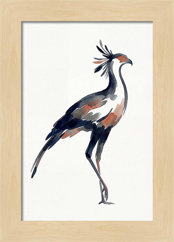 Secretary Bird Silhouette