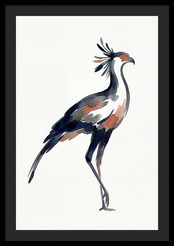 Secretary Bird Silhouette