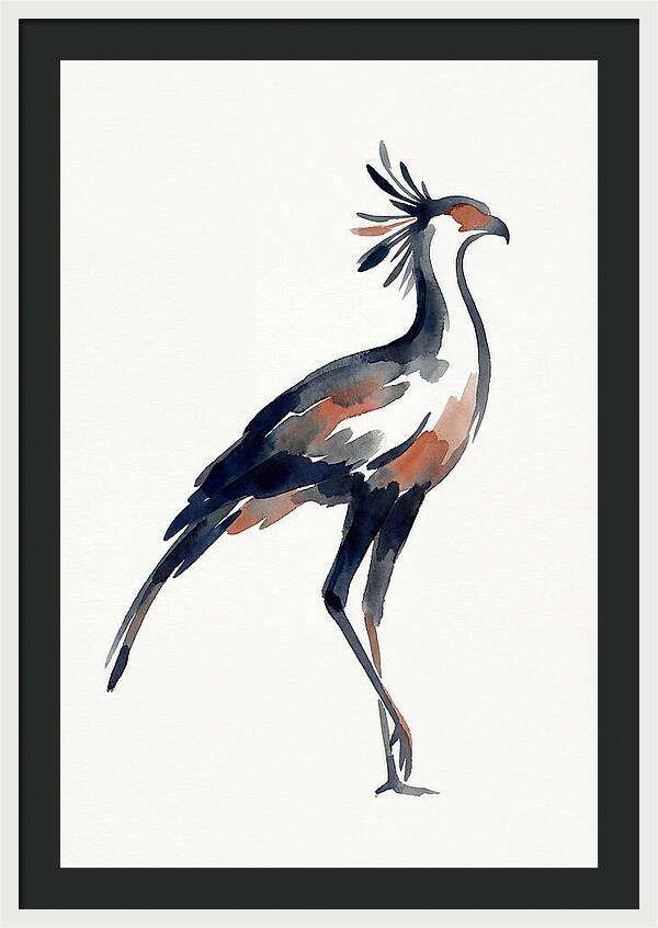 Secretary Bird Silhouette