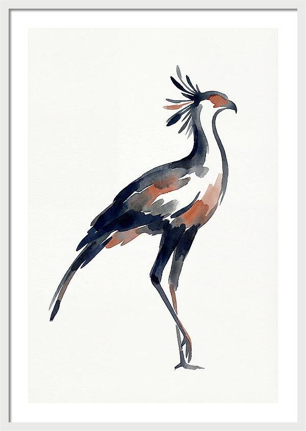 Secretary Bird Silhouette