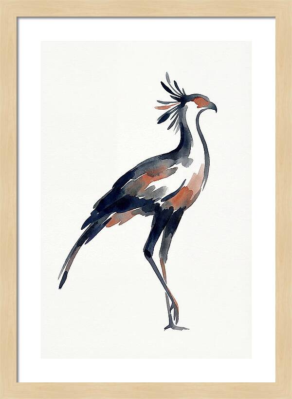 Secretary Bird Silhouette