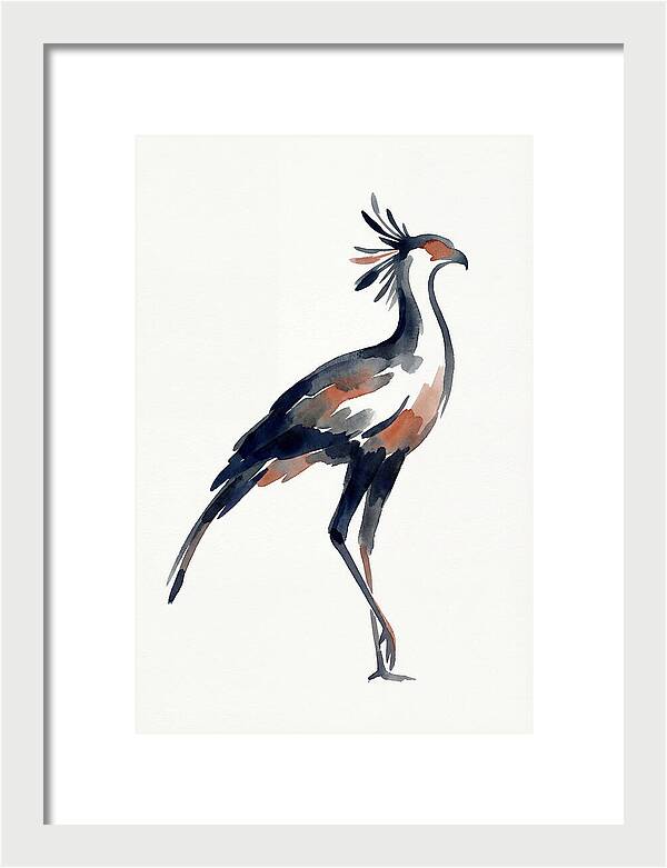 Secretary Bird Silhouette