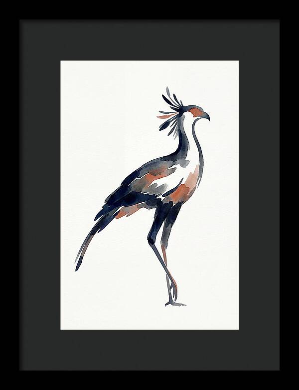 Secretary Bird Silhouette