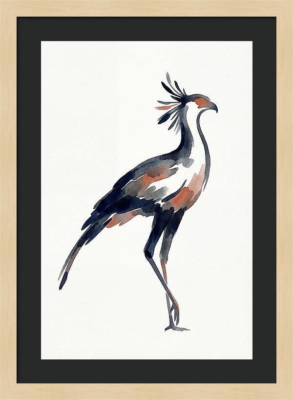 Secretary Bird Silhouette