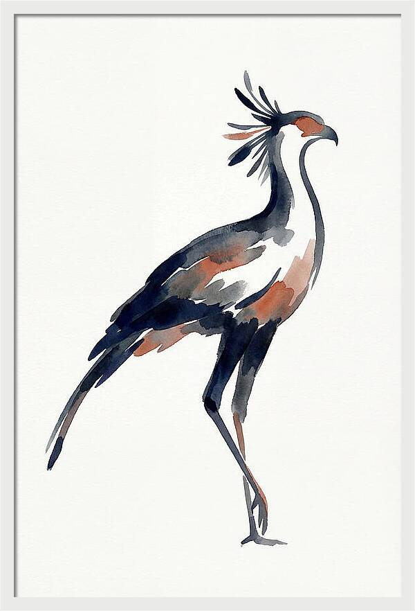 Secretary Bird Silhouette