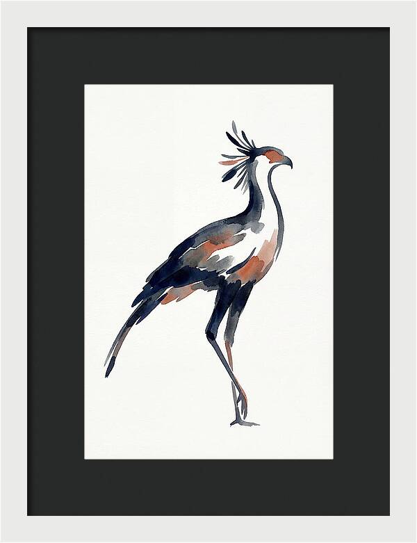 Secretary Bird Silhouette
