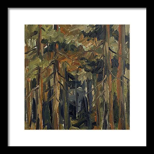 Secrets Beneath The Canopy