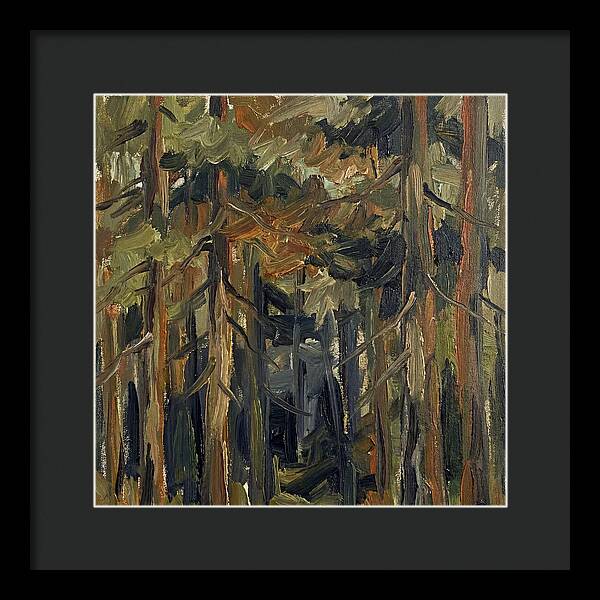 Secrets Beneath The Canopy