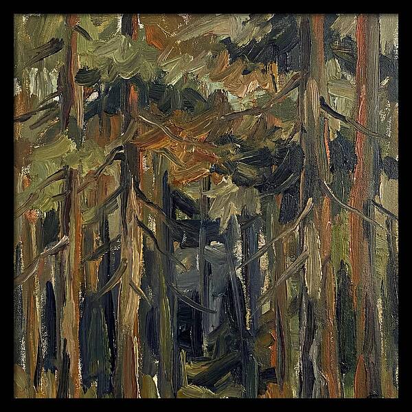 Secrets Beneath The Canopy