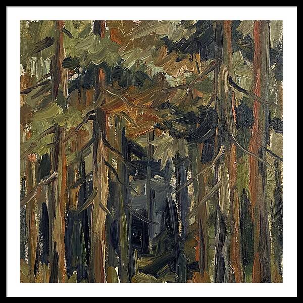 Secrets Beneath The Canopy