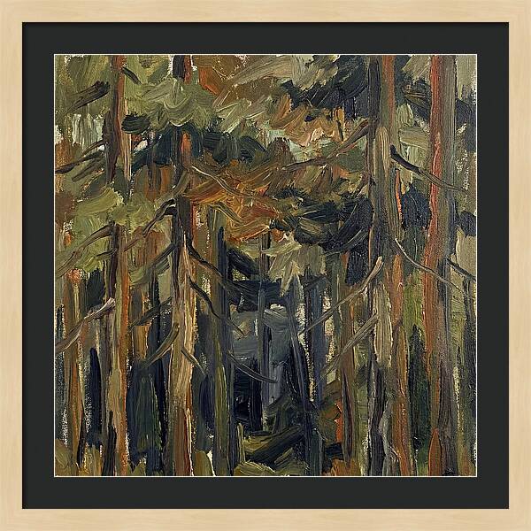 Secrets Beneath The Canopy