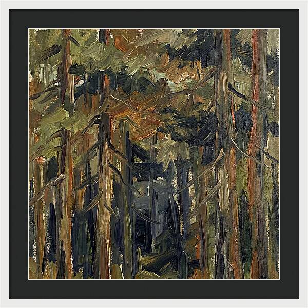 Secrets Beneath The Canopy