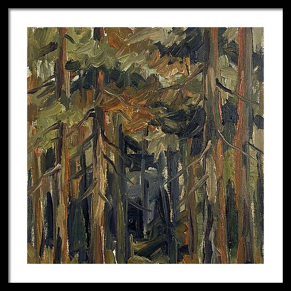 Secrets Beneath The Canopy