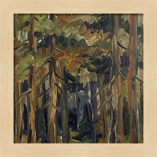 Secrets Beneath The Canopy