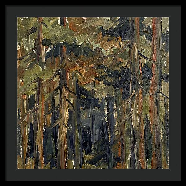 Secrets Beneath The Canopy
