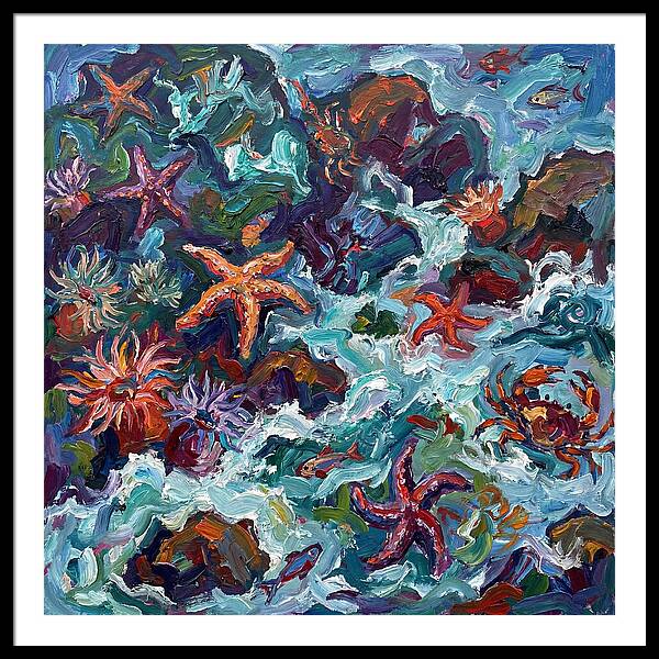 Secrets Of The Tide Pool