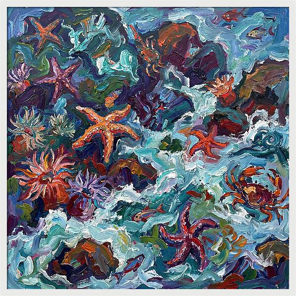 Secrets Of The Tide Pool