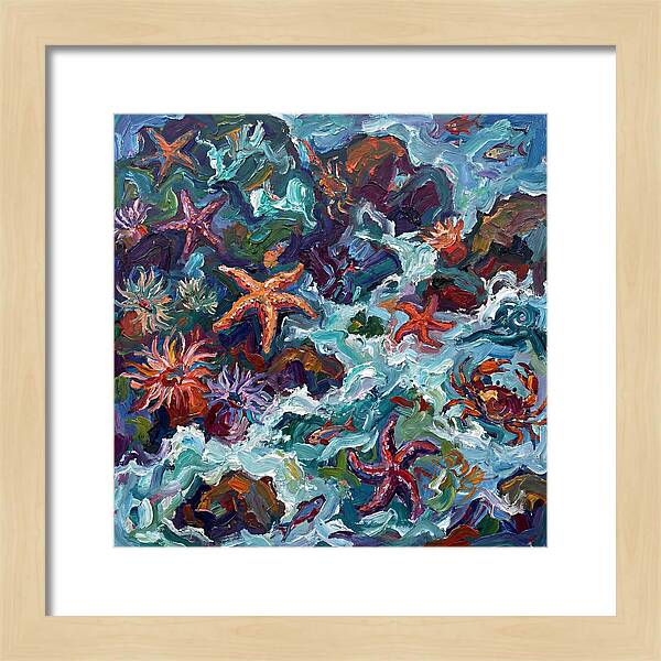 Secrets Of The Tide Pool