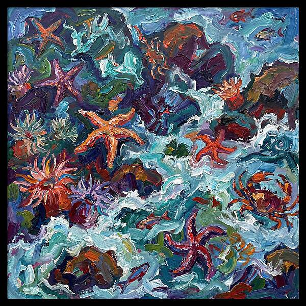Secrets Of The Tide Pool