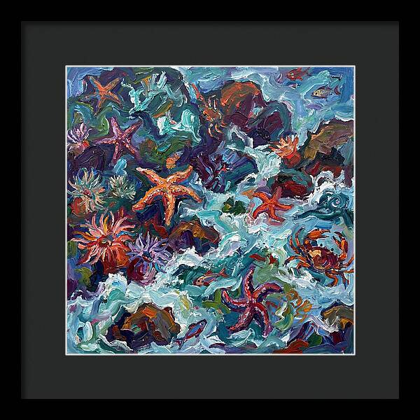 Secrets Of The Tide Pool