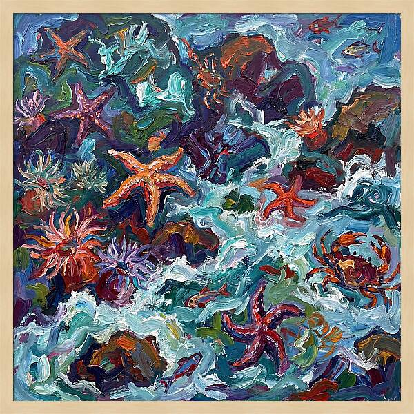 Secrets Of The Tide Pool