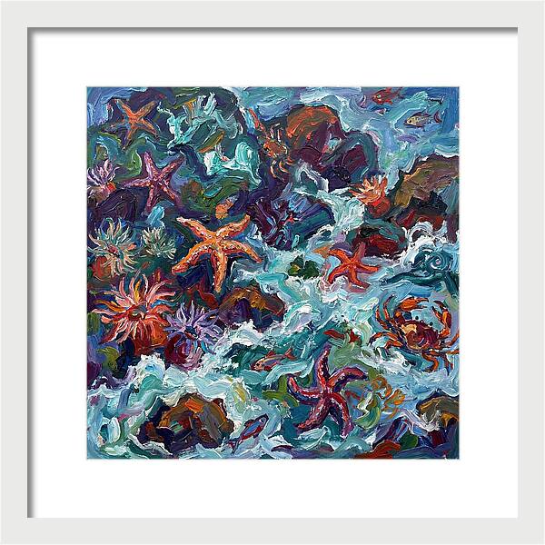 Secrets Of The Tide Pool