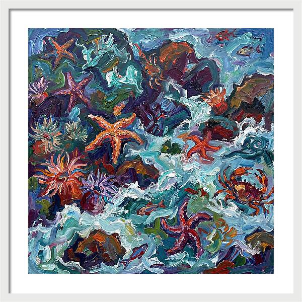 Secrets Of The Tide Pool