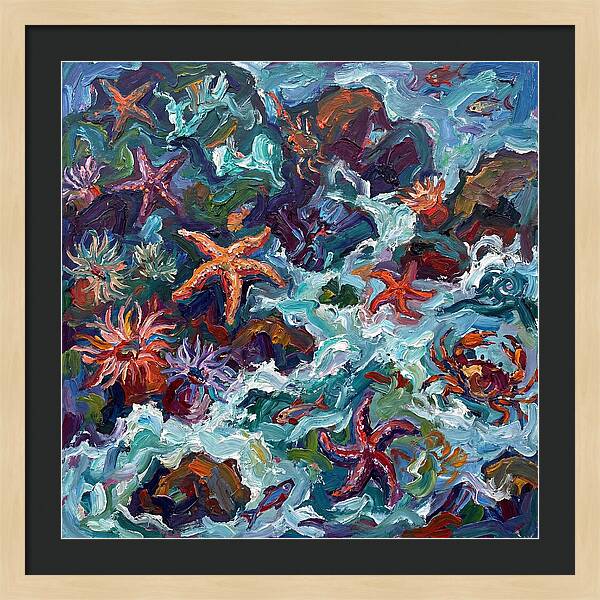 Secrets Of The Tide Pool