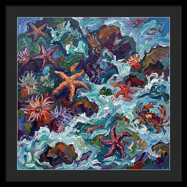Secrets Of The Tide Pool
