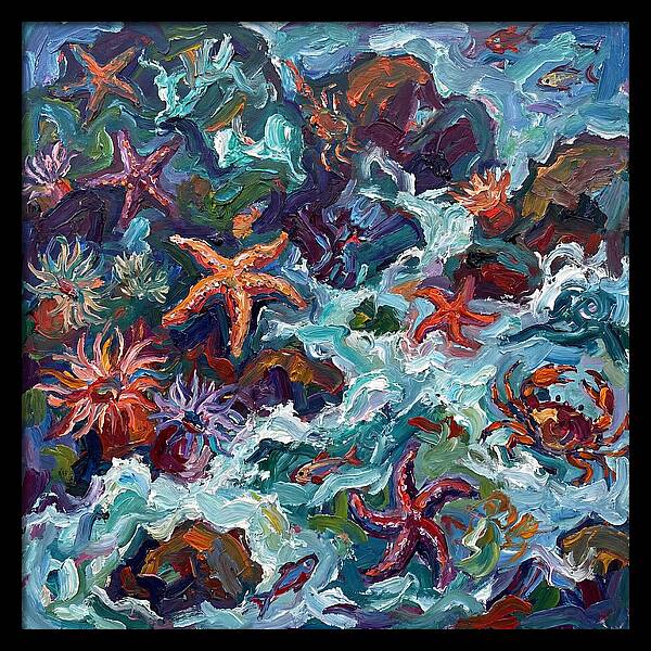 Secrets Of The Tide Pool