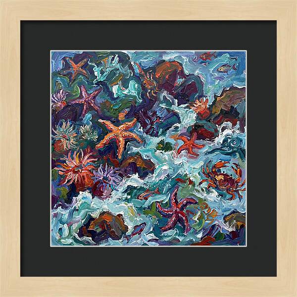 Secrets Of The Tide Pool