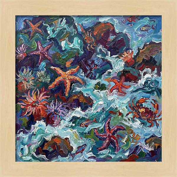 Secrets Of The Tide Pool