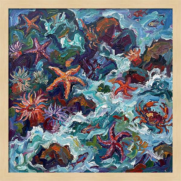 Secrets Of The Tide Pool