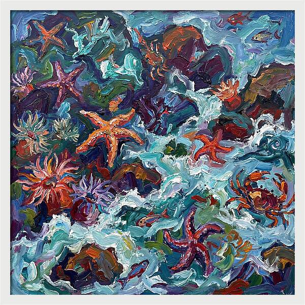 Secrets Of The Tide Pool