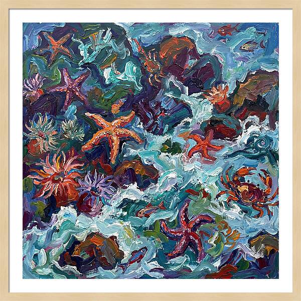 Secrets Of The Tide Pool