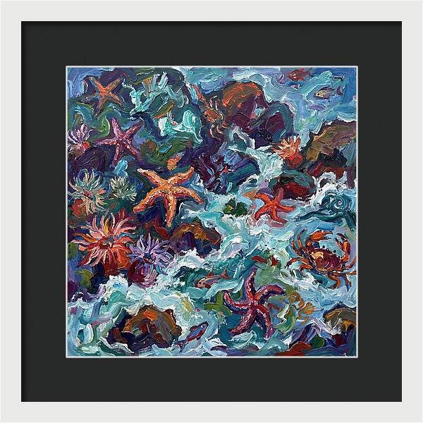 Secrets Of The Tide Pool