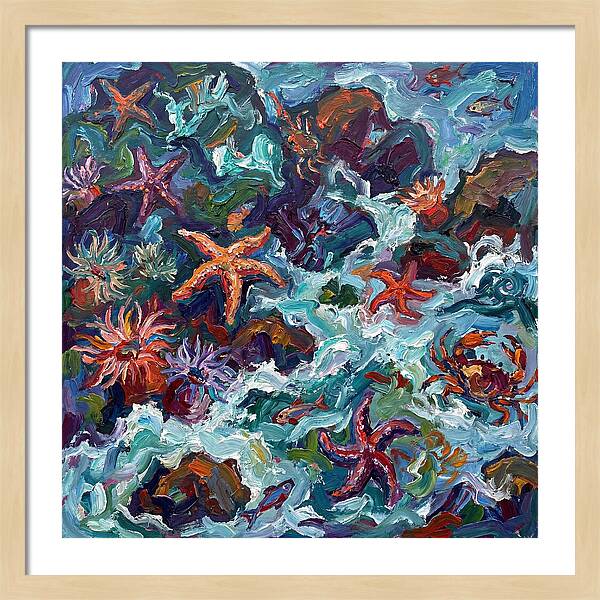 Secrets Of The Tide Pool