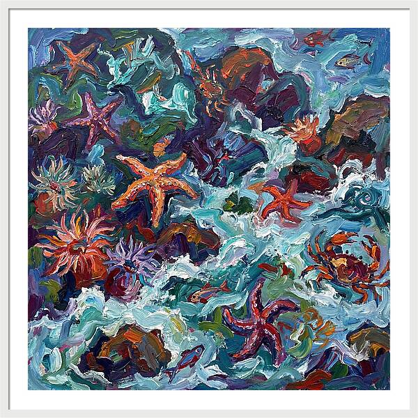Secrets Of The Tide Pool