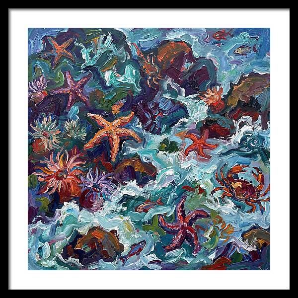 Secrets Of The Tide Pool