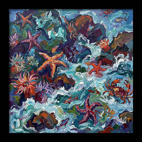 Secrets Of The Tide Pool