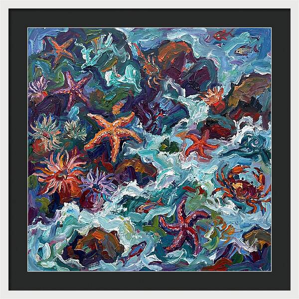 Secrets Of The Tide Pool