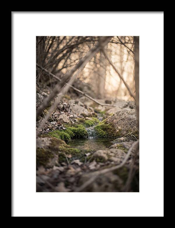 Seepage Spring Serenity