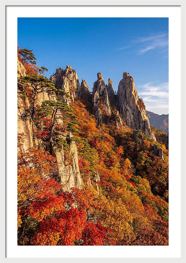 Seoraksan Mountain In Autumn Glory