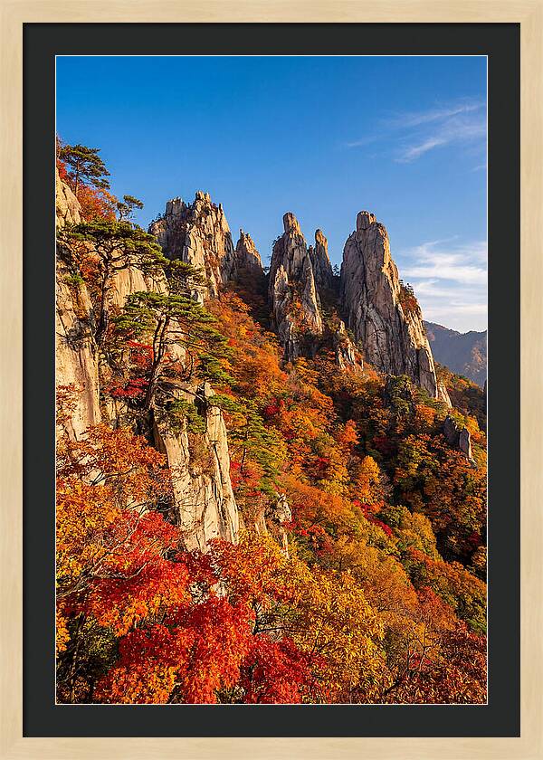 Seoraksan Mountain In Autumn Glory