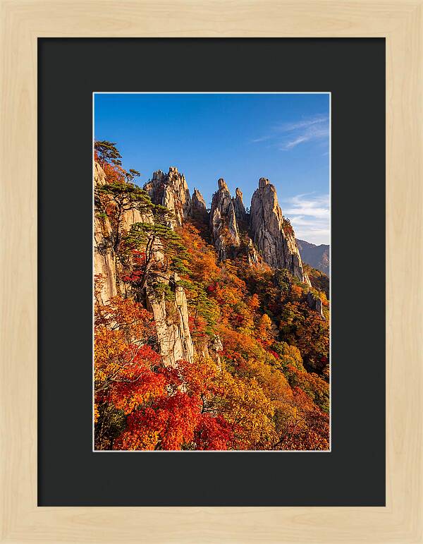 Seoraksan Mountain In Autumn Glory