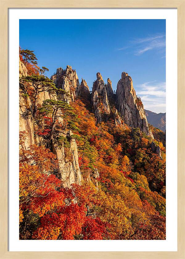 Seoraksan Mountain In Autumn Glory