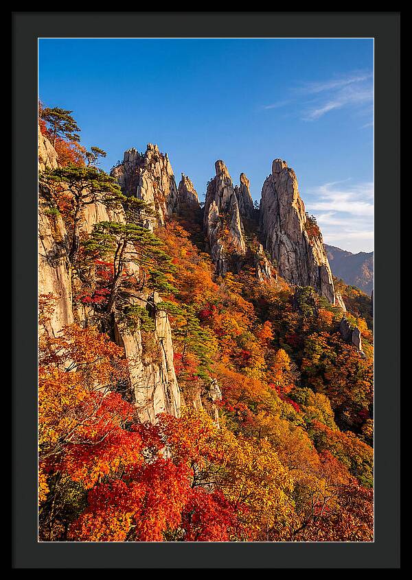 Seoraksan Mountain In Autumn Glory