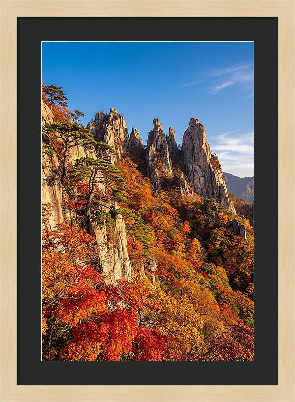 Seoraksan Mountain In Autumn Glory