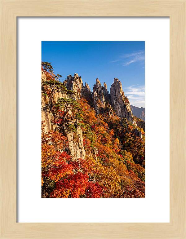 Seoraksan Mountain In Autumn Glory